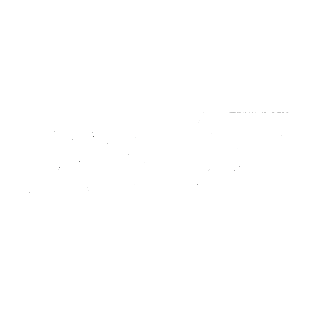 NNZ logo